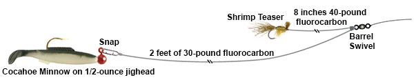 Shrimp Fly Teaser Rig diagram