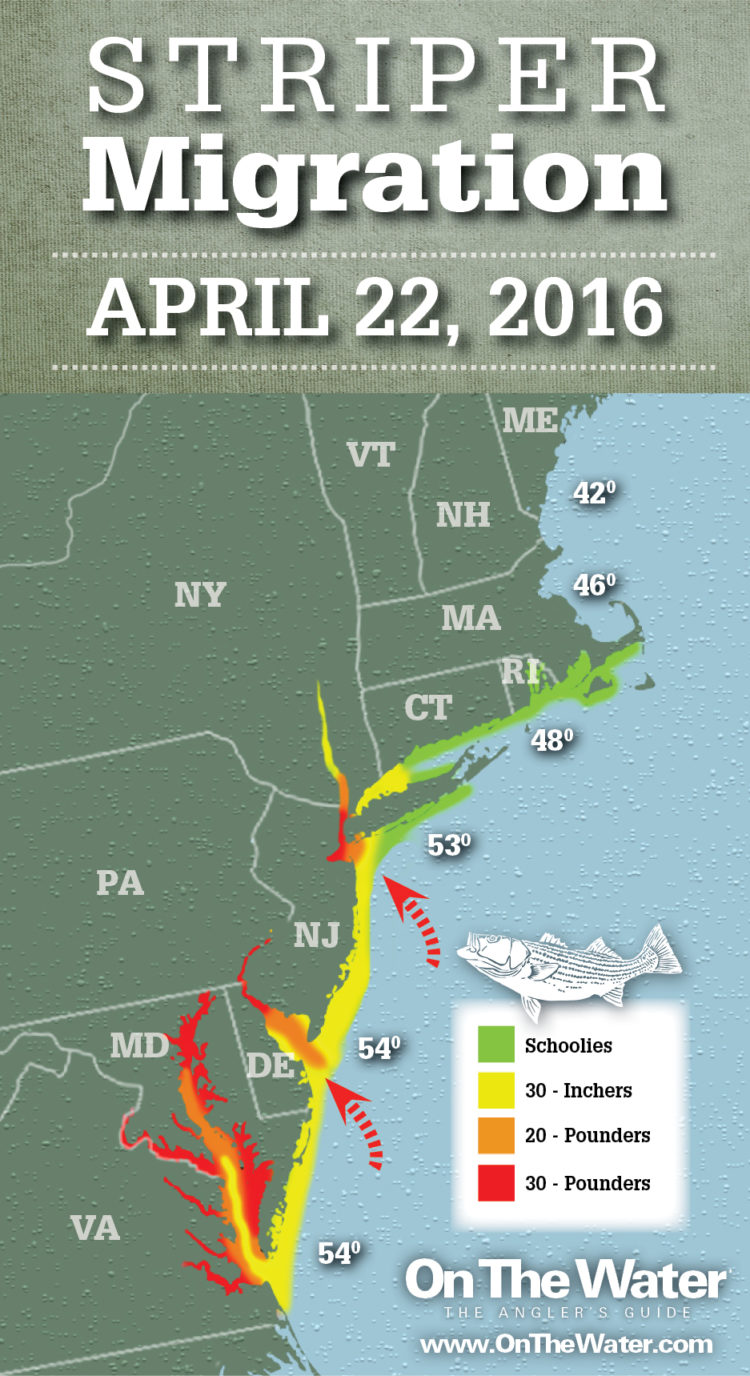 Striper Migration Map