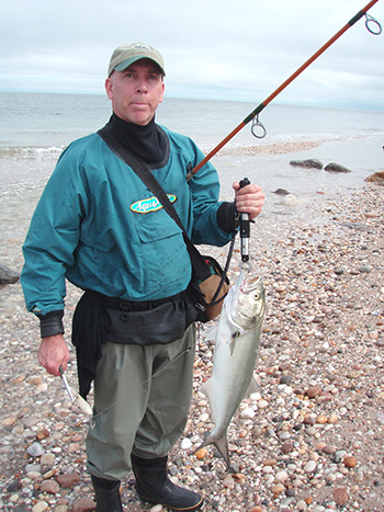 Chuck Moore caught this typical early season bluefish from the Long Island Sound surf.