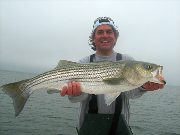 Early season bas like this one can be plucked from jetties, rock piles and protruding promontories.