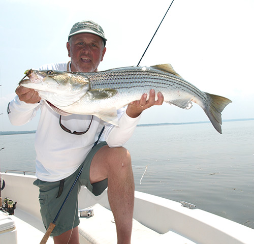 Protected areas offer a number of excellent fly-fishing opportunities for spring stripers.