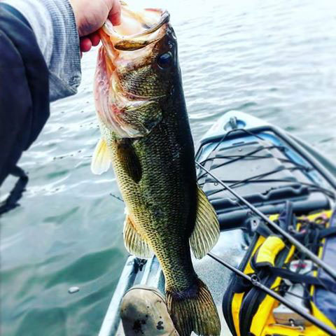 Josh Ditzler caught a Largemouth Bass over the weekend while fishing Hills Creek Lake last weekend.