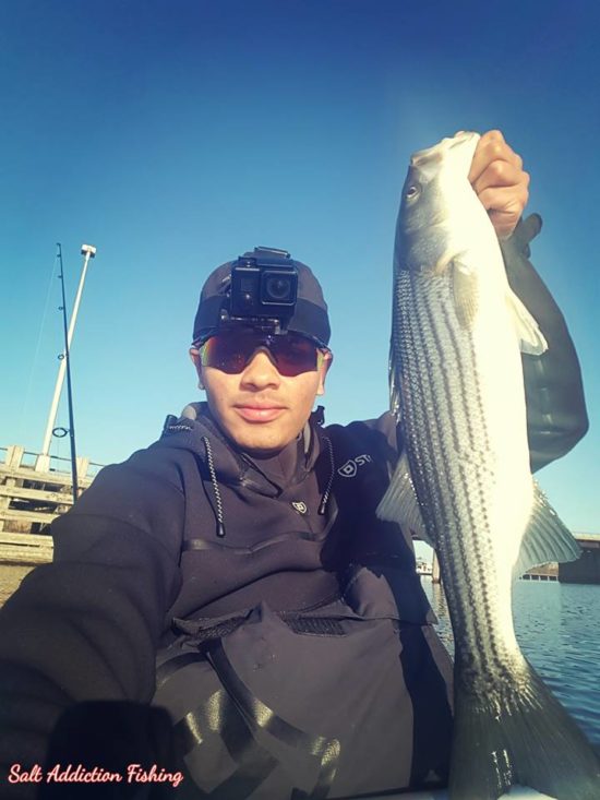Jamiel Ortiz shared this photo of a Boston-area holdover striper he caught this week.