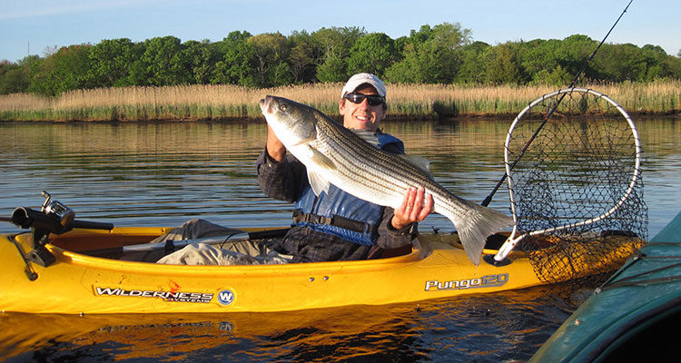 Peconic kayak bass
