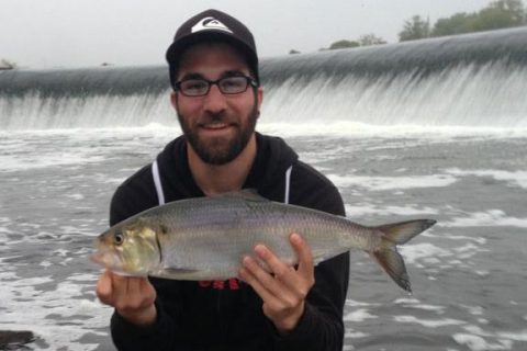 Fish within the city limits of Philadelphia to catch spring stripers and shad at the Delaware and Schuylkill rivers.