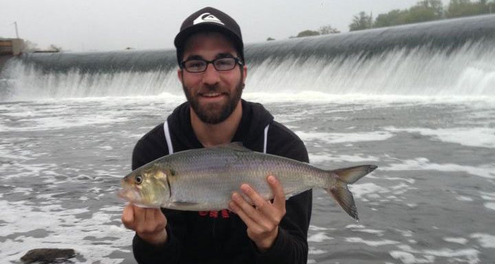 Fish within the city limits of Philadelphia to catch spring stripers and shad at the Delaware and Schuylkill rivers.