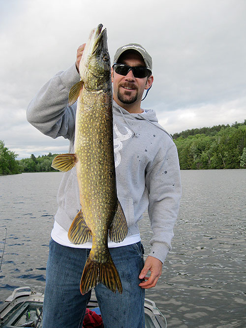 Pike are especially sensitive to changes in barometric pressure. 