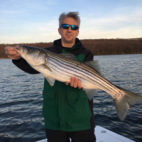 A nice striped bass taken aboard Reel Cast Charters