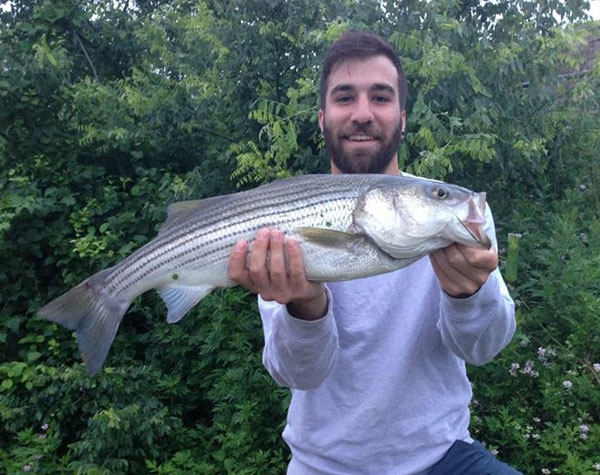 Fishermen on the Pennsylvania side of the Delaware may keep two stripers between 20 and 26 inches from April 1 to May 31. The slot limit protects the larger females spawning at that time.