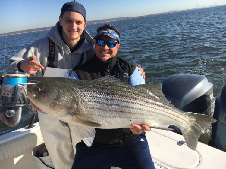 Mojo Blue Water Rockfish Candy Rig striper