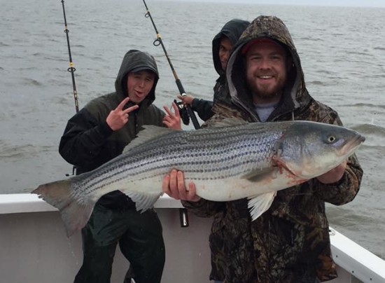 Delaware River Striped Bass