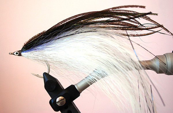 When targeting larger fish, try a fly like the Sloopy Droopy that rides very high in the water column, reflecting the movement of menhaden and herring.
