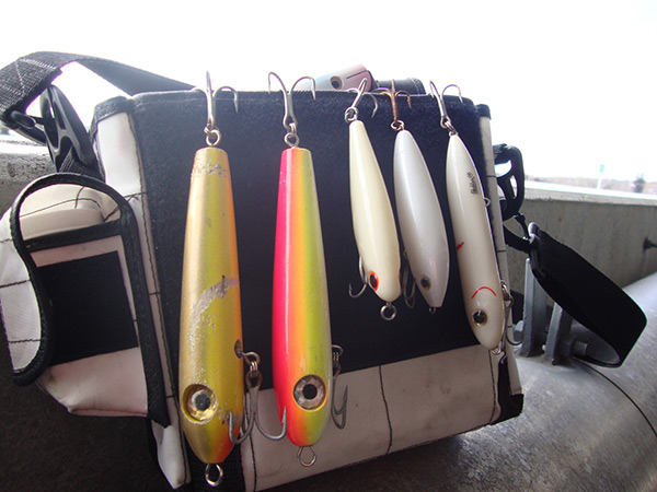 Spook-style plugs can drive bass nuts. Stripers will often strike four or five times as they try to subdue the lure&rsquo;s side-to-side action.