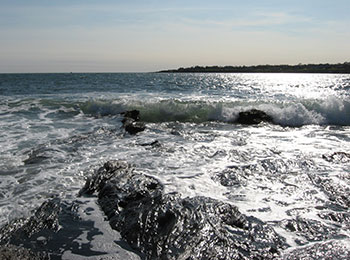 White water along the shore line usually makes for consistent daytime fishing for striped bass all season long.