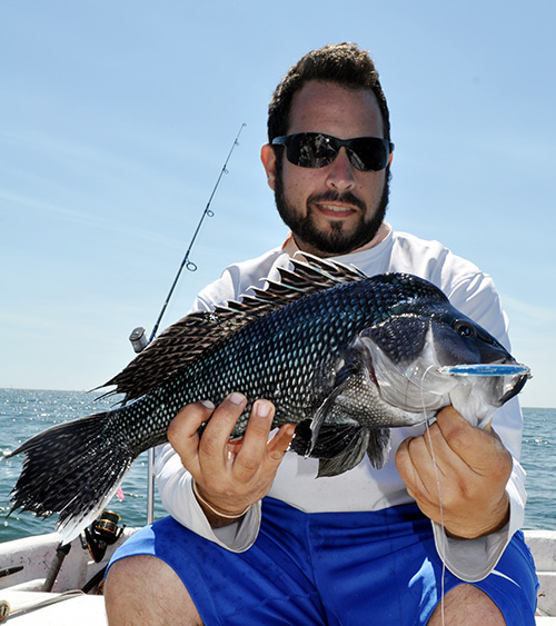 Chris Parisi with a 4-pound sea bass that he hooked on light spinning gear.