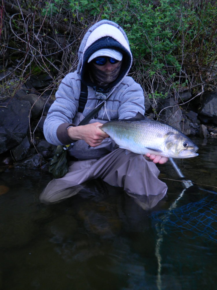DSCN3966