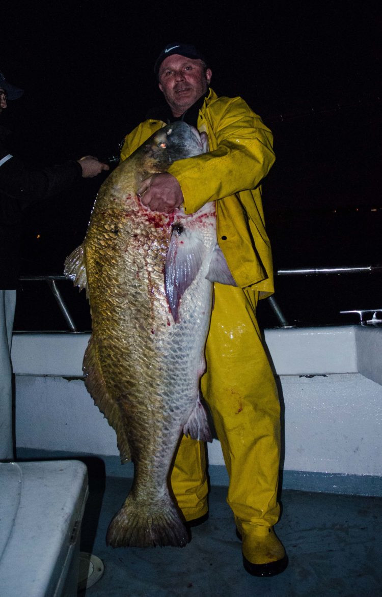 The largest drum of the trip, a 74-pounder taken just after dark.