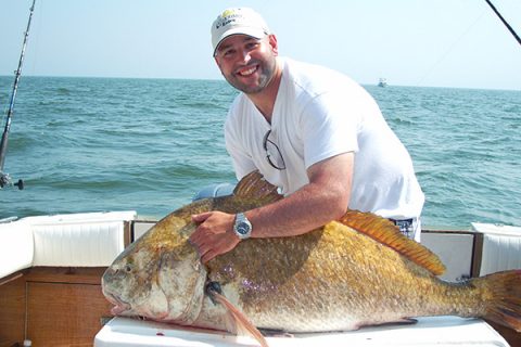 Delaware Bay black drum