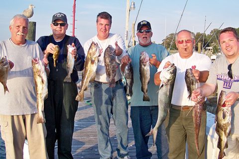 Garden State Variety