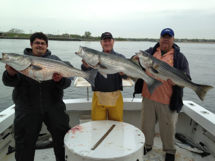Captain Nick Savene of No Time fishing charters has been finding big stripers and blues this week. 
