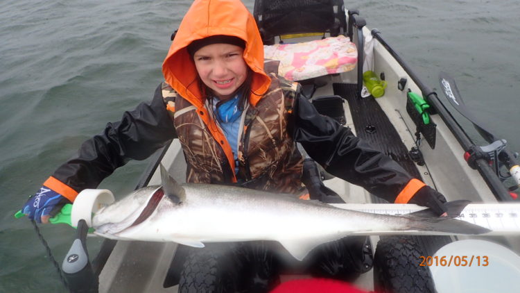 Nine-year-old Jolene Read won the Junior Division with this 34.5-inch bluefish. 