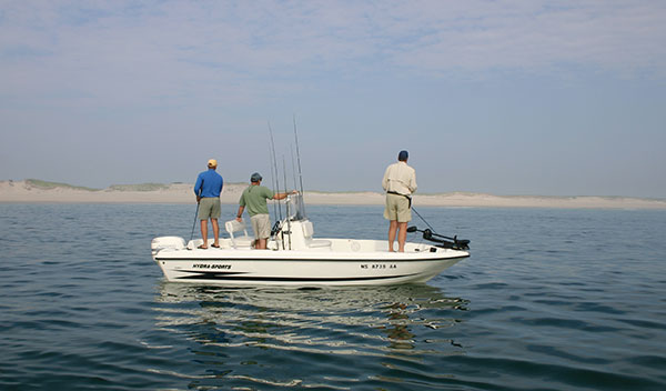 Stripers can often be found cruising along the beaches of Monomoy.