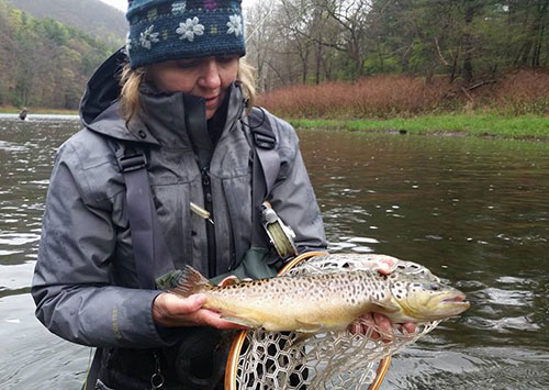 Pine Creek Brown Trout caught using a March Brown.