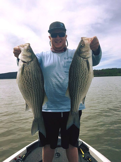 On a recent fishing trip to Hammond Lake, Ryan Fluharty, from the Mansfield University Bass Fishing team, caught 2 Hybrid Stripers.