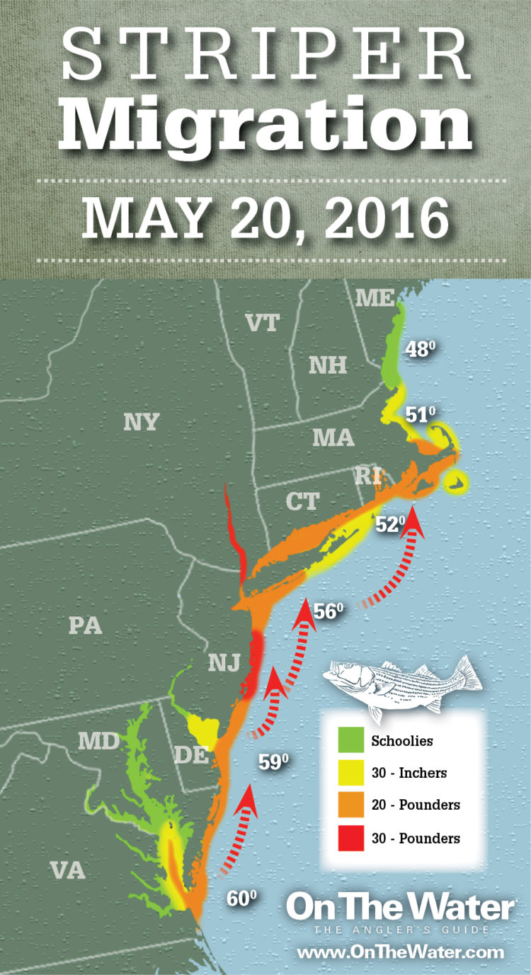 Striper Migration Map