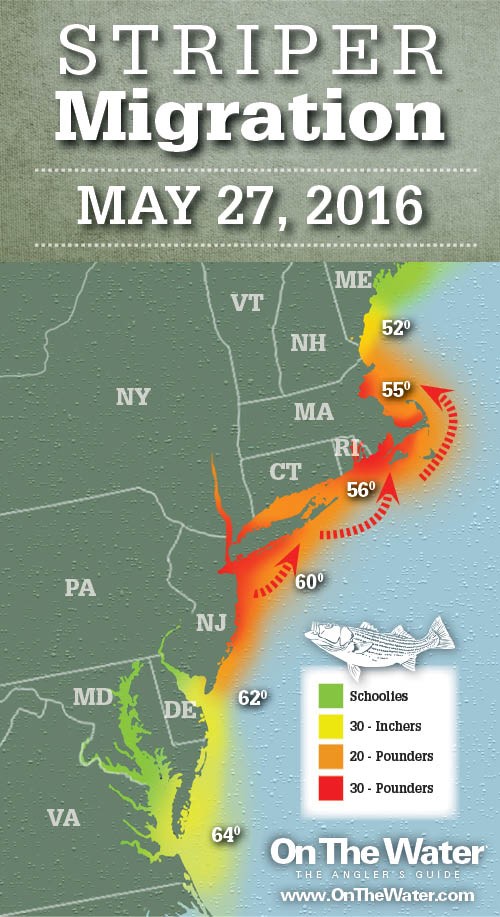 Striper Migration Map