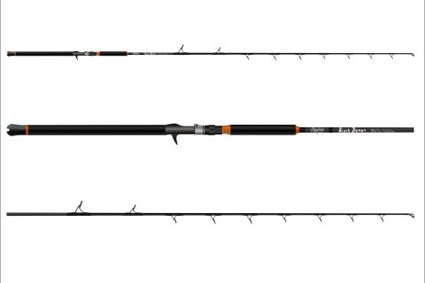 The Rod Design You Should Be Fishing