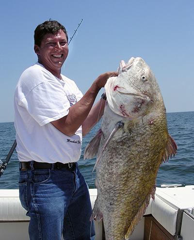 Reaching weights of 110 pounds, black drum are one of the largest inshore species in New Jersey.