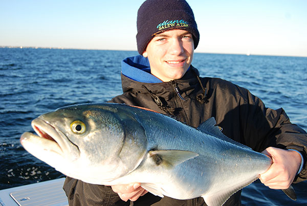 Tommy Freda grips a big spring bluefish. ​
