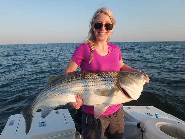 Live bunker are a top bait for trophy-sized striped bass.