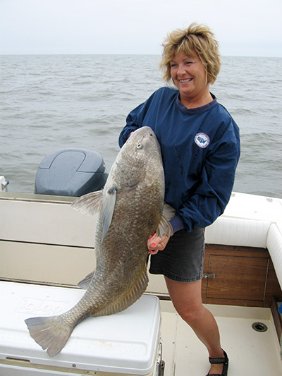 Delaware Bay water is often turbid, forcing drum to rely on scent to find their food.