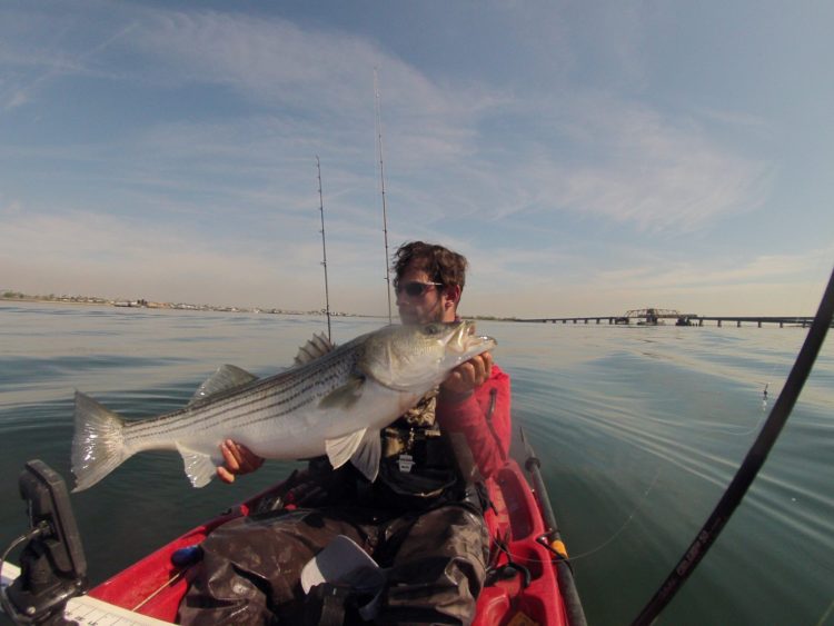 OTW Columnist Elias Vaisberg tied for the biggest fish of the tournament with a 41-inch striper. 