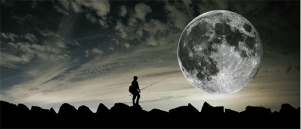 surfcasting the full moon