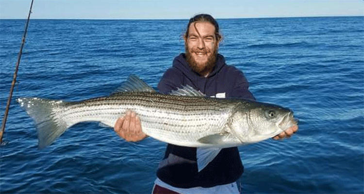 You'll find big bass with the mackerel off Hull ledges.