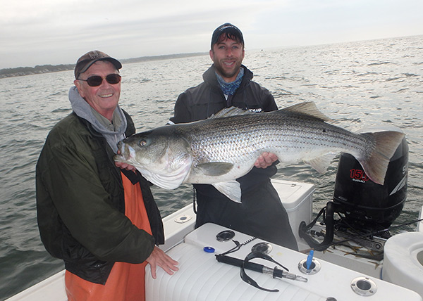 The author holds a big striper that ate a live bunker over a piece of inshore structure.