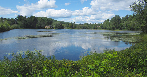 Fish the Ashuelot River above and below the picturesque Village Pond in Marlow for spring trout opportunities.