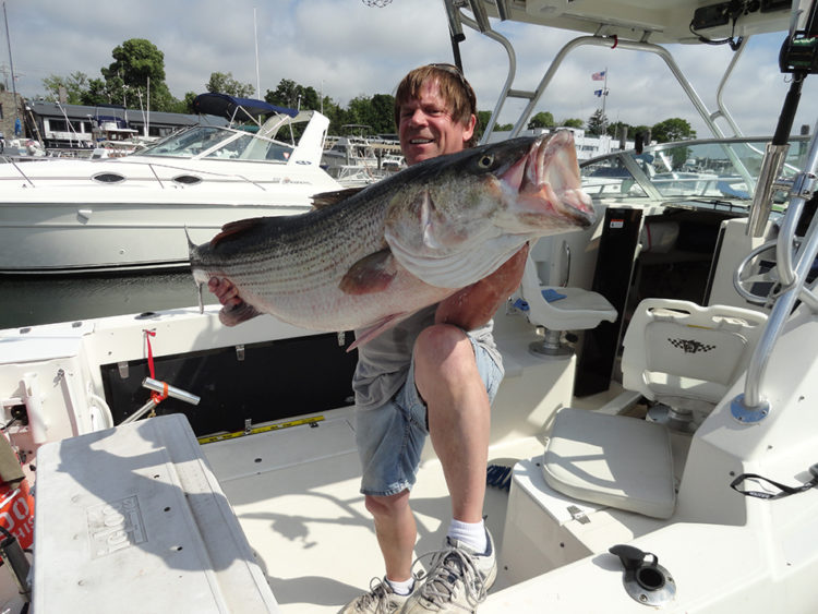 George Raynor caught this 43-pound striped bass this week.