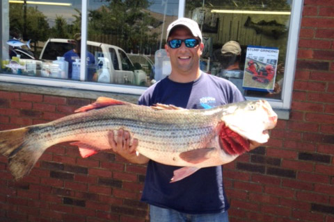 James Steinwachs with the Striper Shootout wiinning 51-pounder.