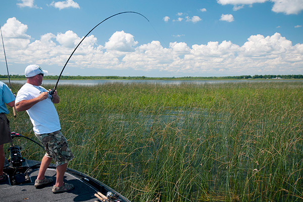 Jigs allow anglers to haul big bass from heavy cover