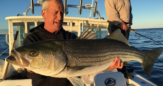 Joe Holey Sr with a nice bass which belted a mackerel.