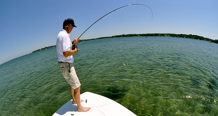 Sight fishing for stripers