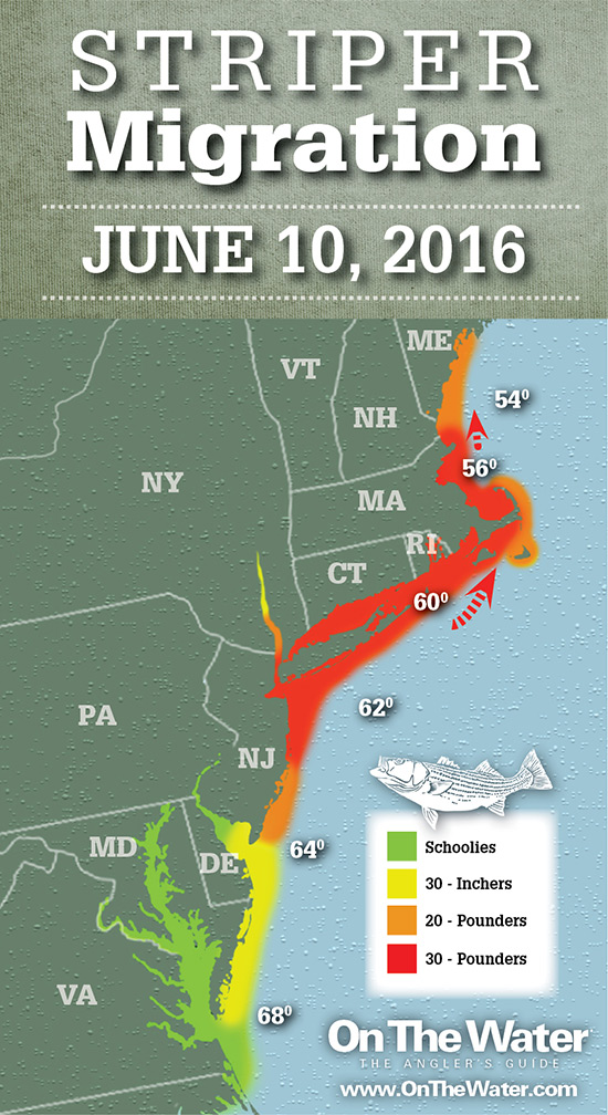 On The Water Striper Migration Map June 10, 2016
