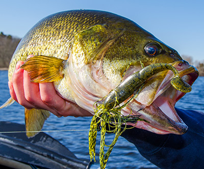 Swimming Jigs