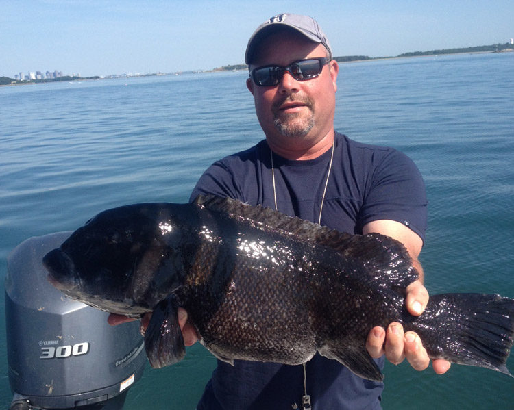 This 10.19-pound Boston blackfish was taken aboard the Little Sister!