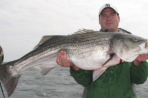 You might have to wait for your best shot at a 50, but June sees plenty of specimens in the 15- to 30-pound range.