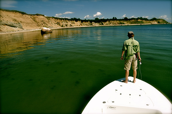 Look for movement, and for dark-colored fish to reveal themselves as they pass over light-colored bottom